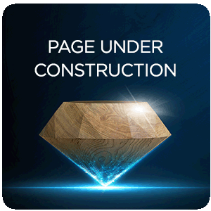 PAGE UNDER CONSTRUCTION